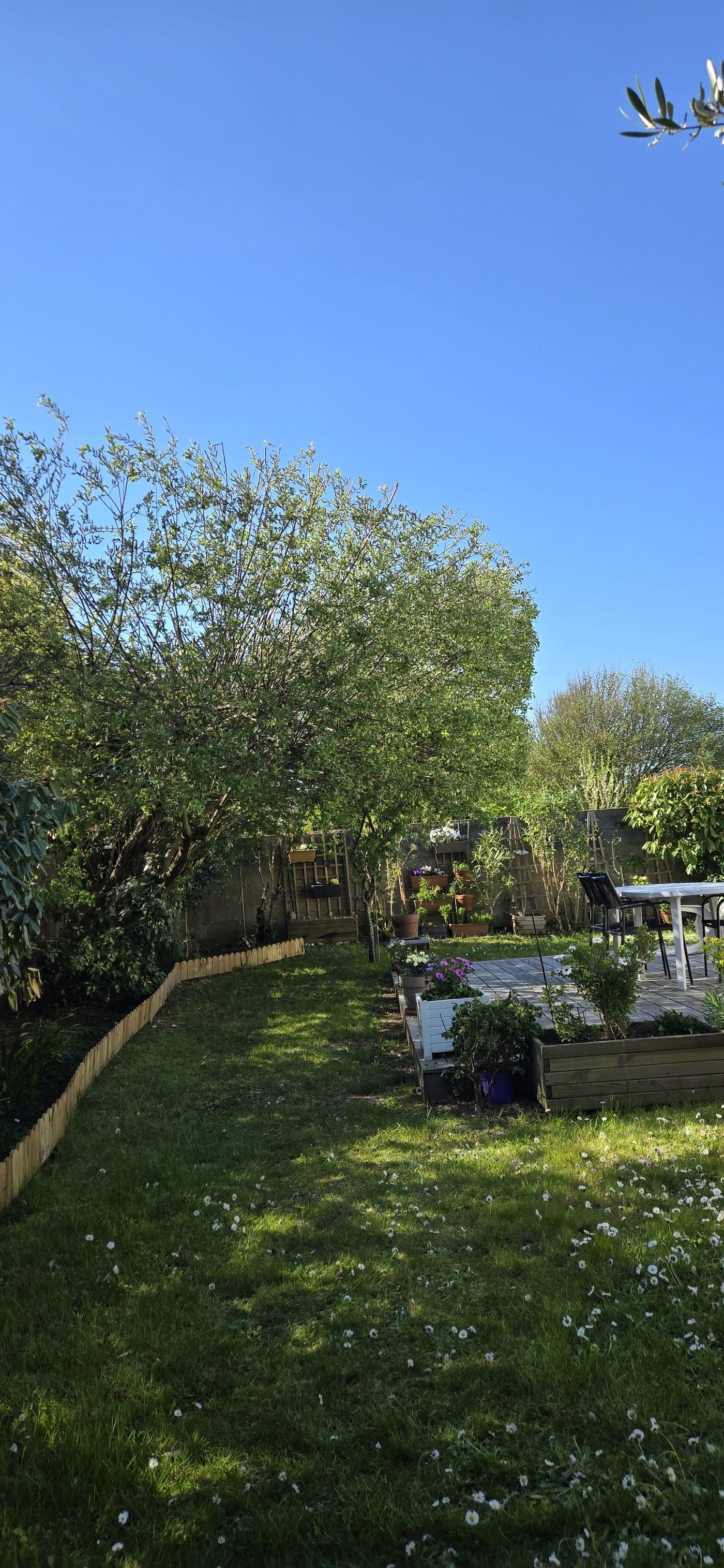 Remise en état complète d'un jardin - après intervention